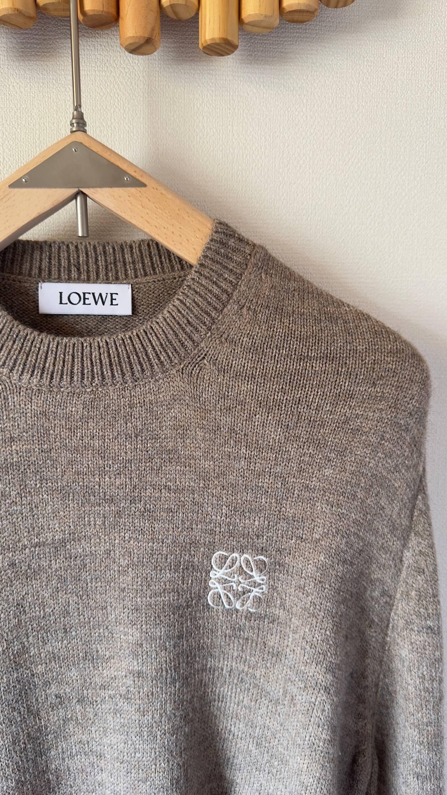 Loewe Sweaters
