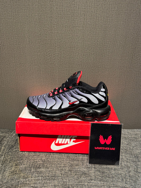 Nike Air Max TN Grey Red Balck