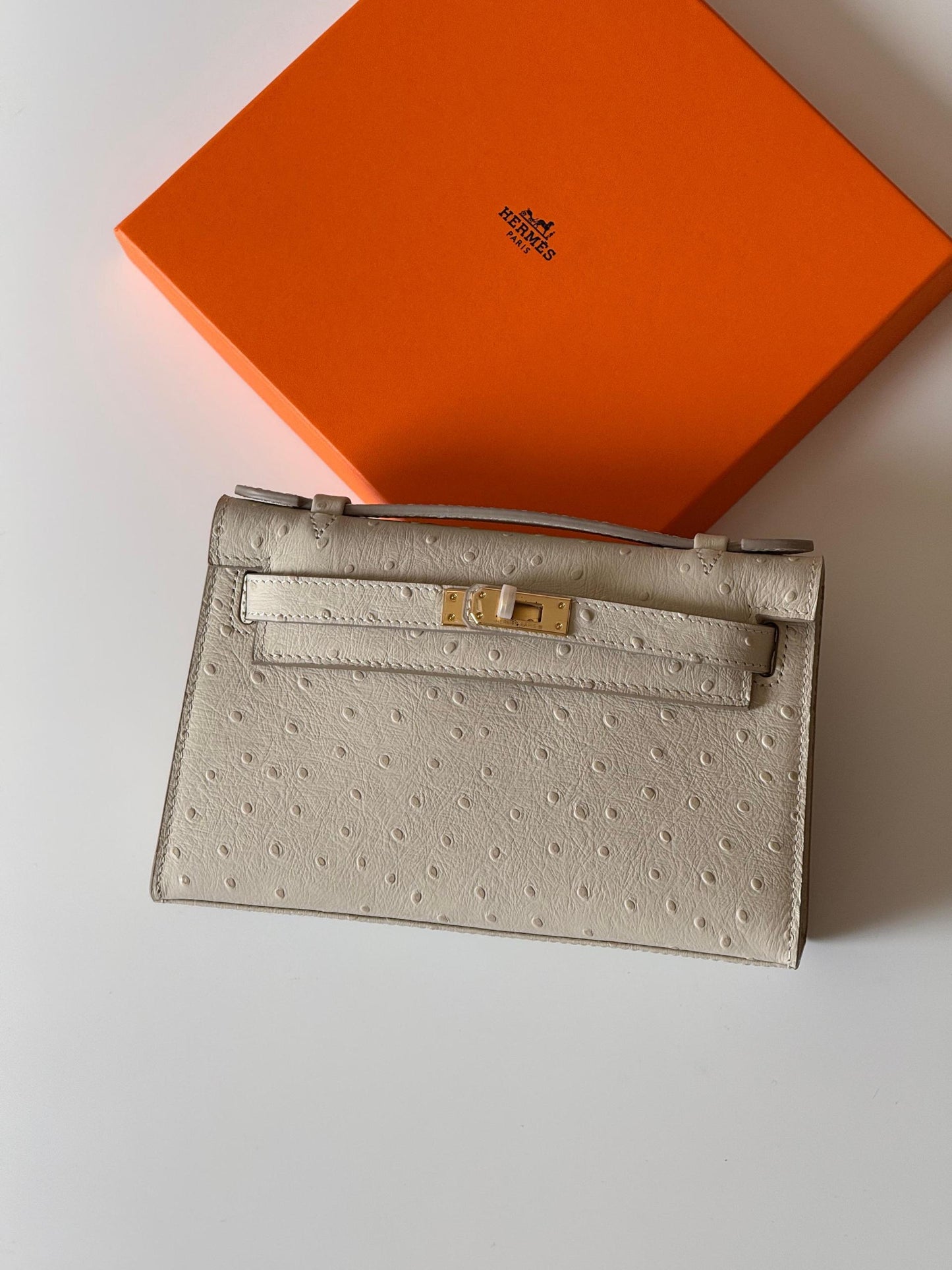Hermes Pochette HandBag