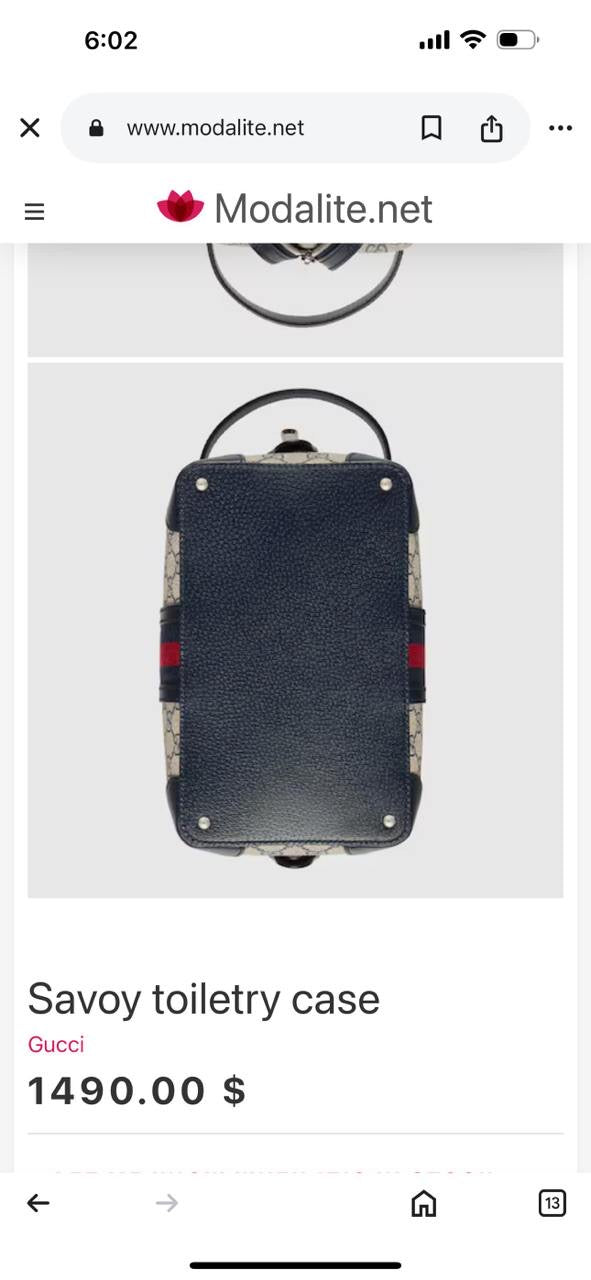 Gucci Pouch (VIP Quality) 2 colors