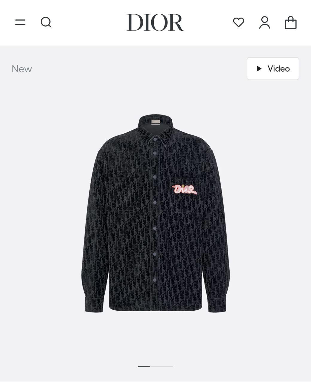 Dior x Kaws Shirt