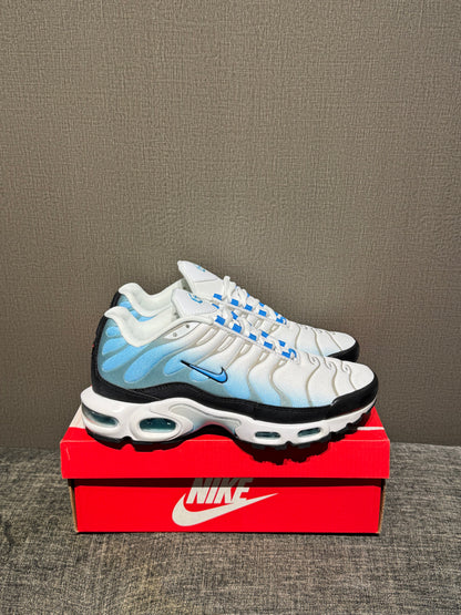 Nike Air Max TN Blue