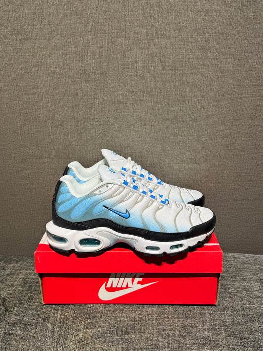 Nike Air Max TN Blue