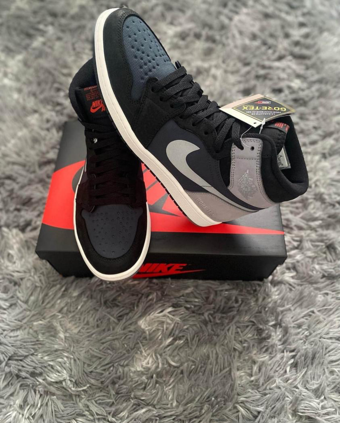 Jordan 1 high “Element”Gore-Tex