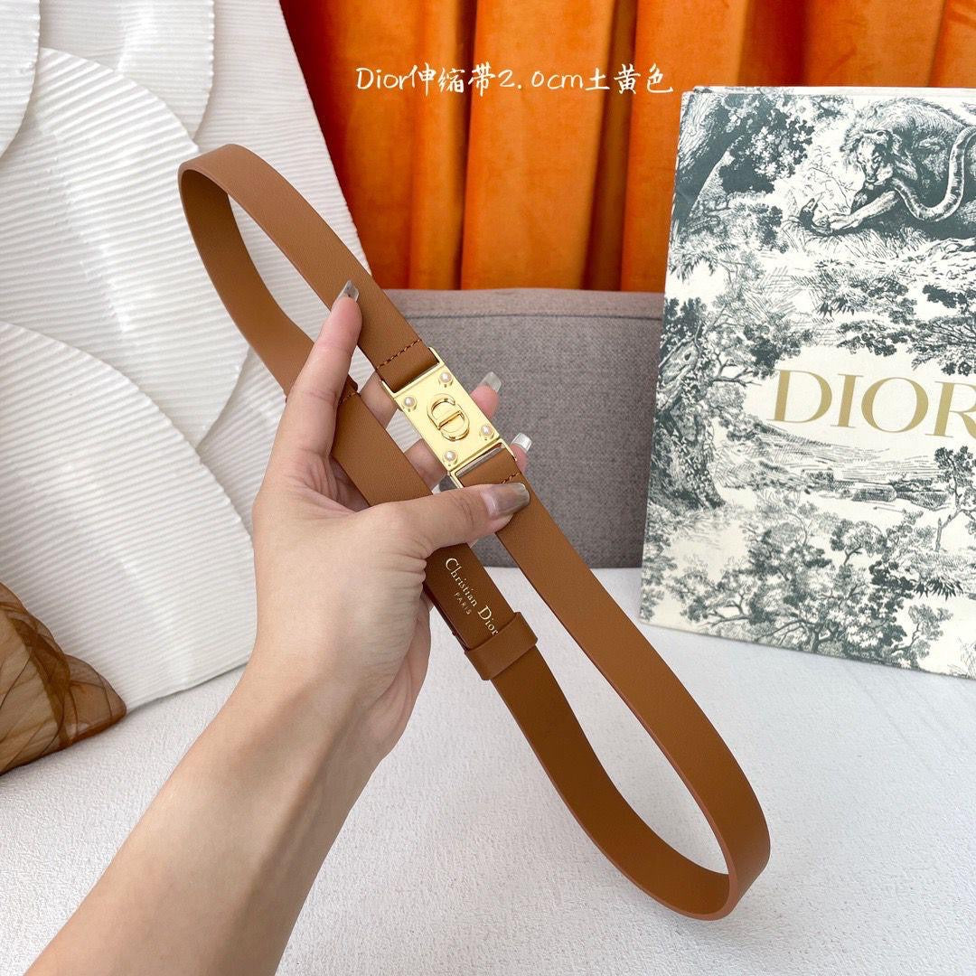 Dior Belts 4 colors