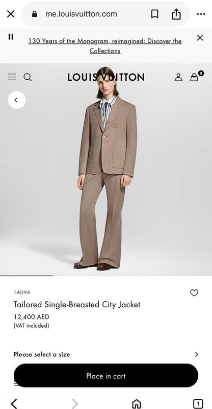 Louis Vuitton Formal Suit