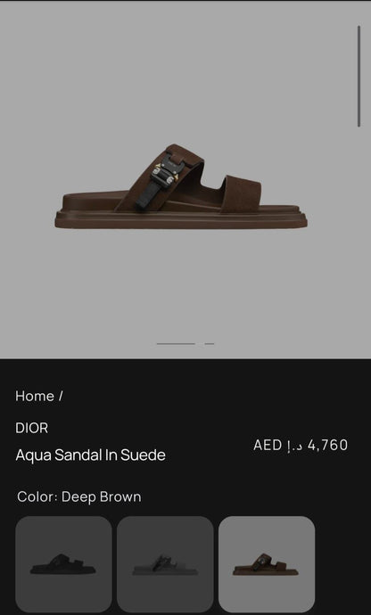 DIOR Slippers