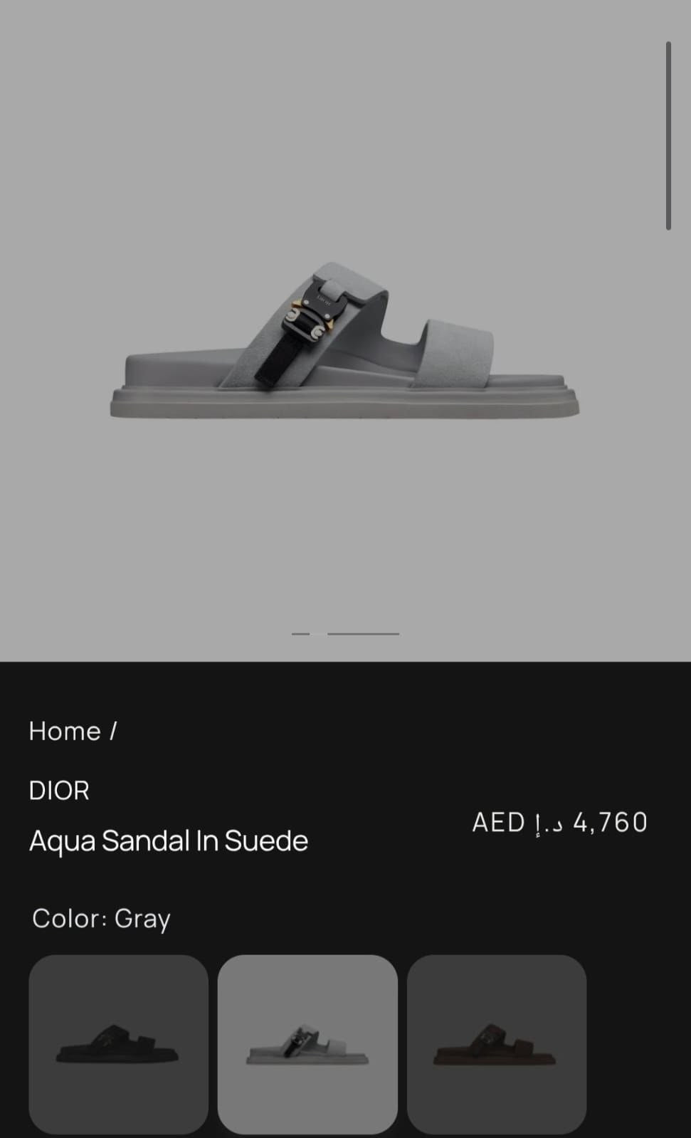 DIOR Slippers