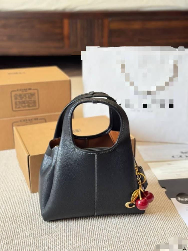 Coach Sling Bag