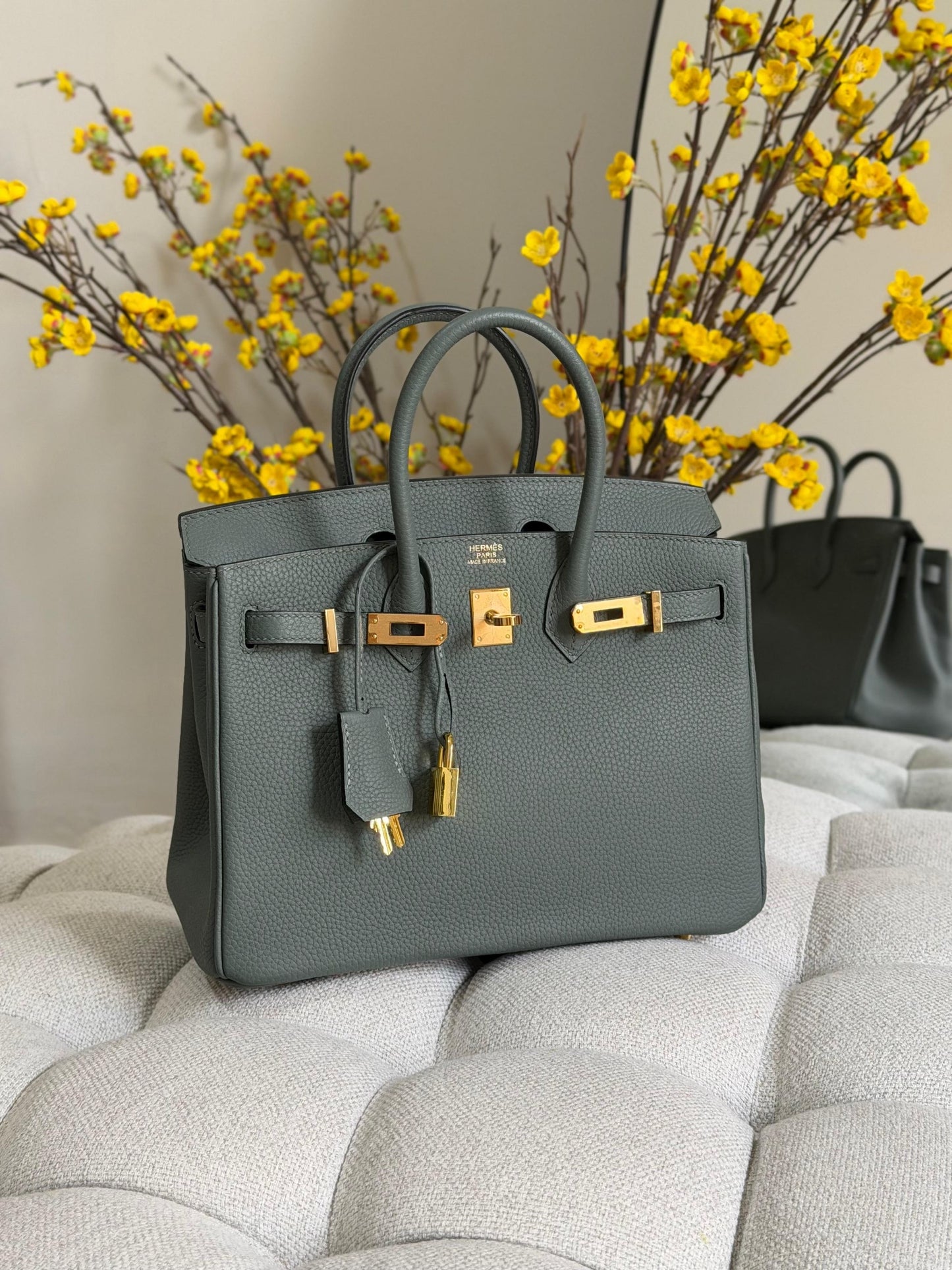 Hermes Handbag (Vip)