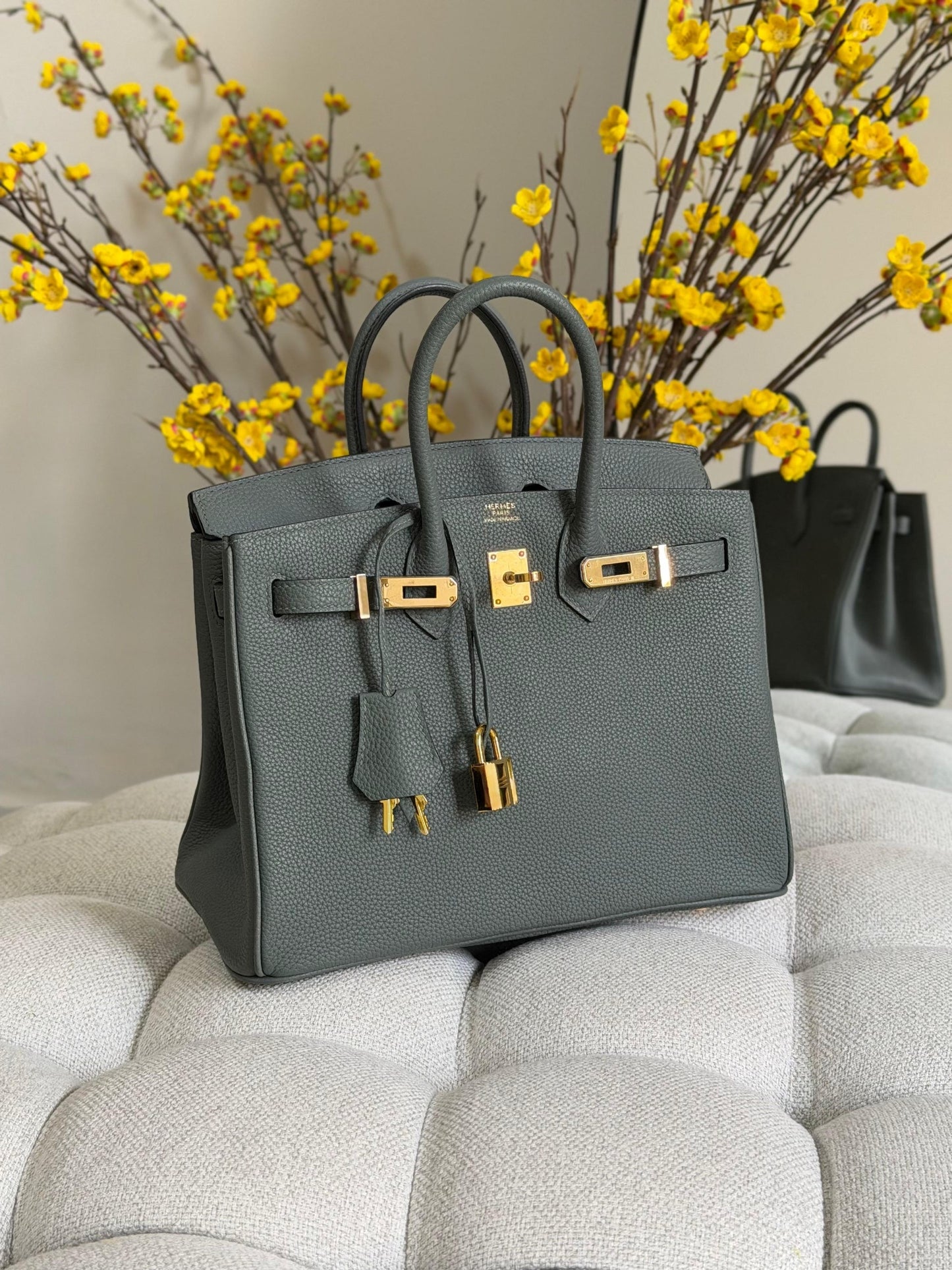 Hermes Handbag (Vip)
