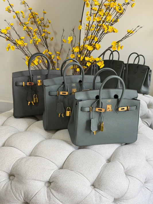 Hermes Handbag (Vip)