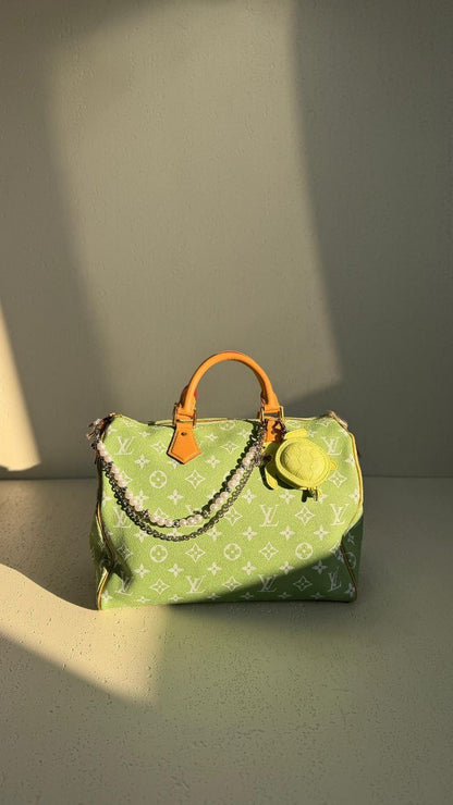 Louis Vuitton Handbag