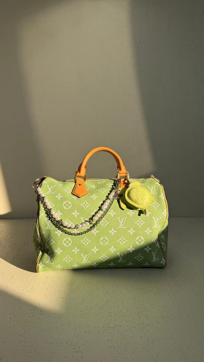 Louis Vuitton Handbag