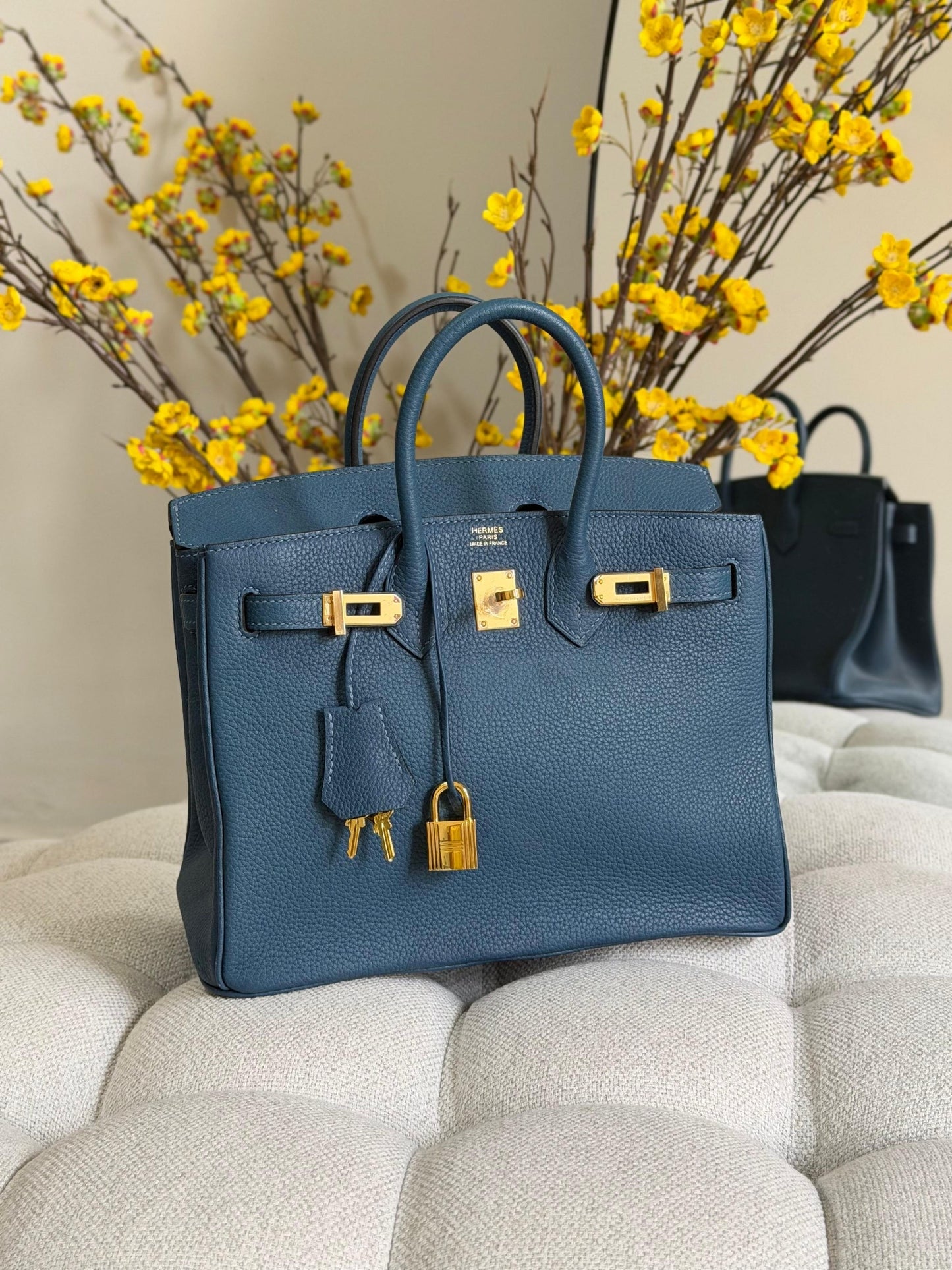 Hermes Handbag (Vip)