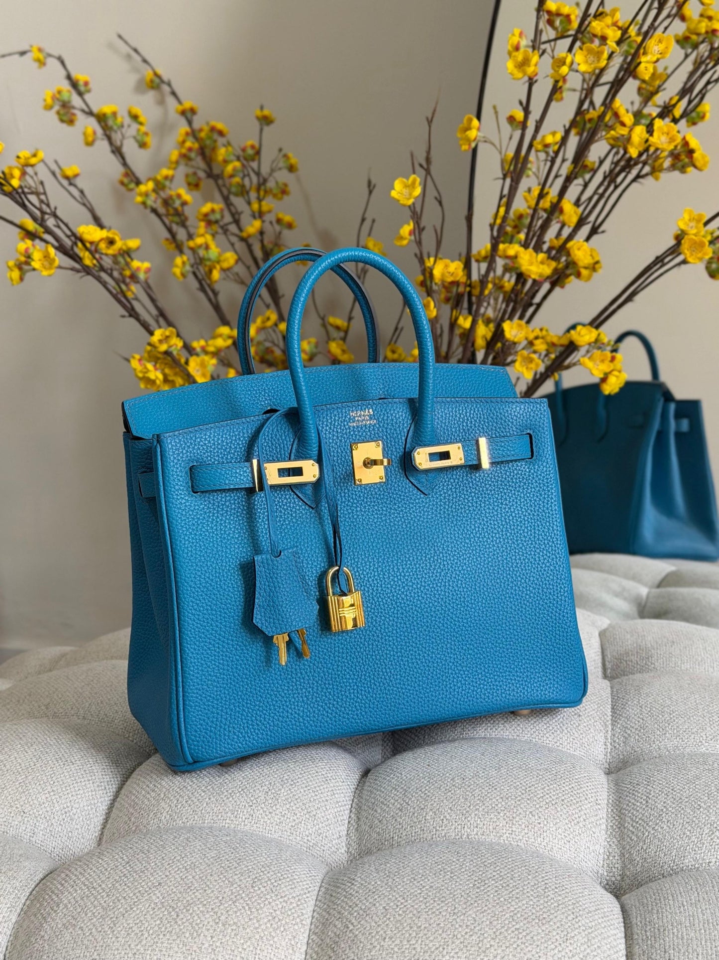 Hermes Handbag (Vip)