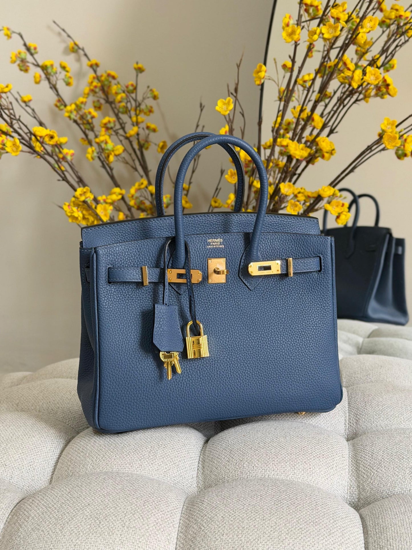 Hermes Handbag (Vip)