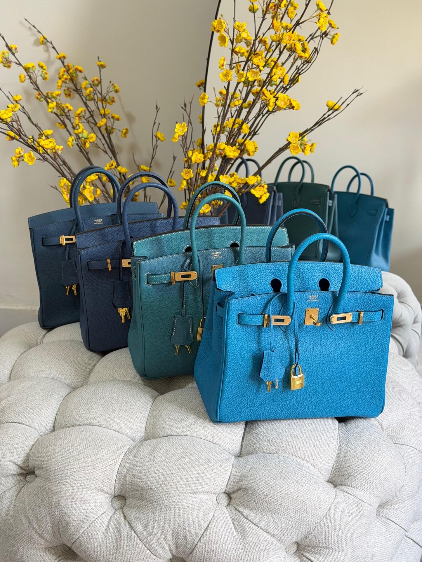Hermes Handbag (Vip)