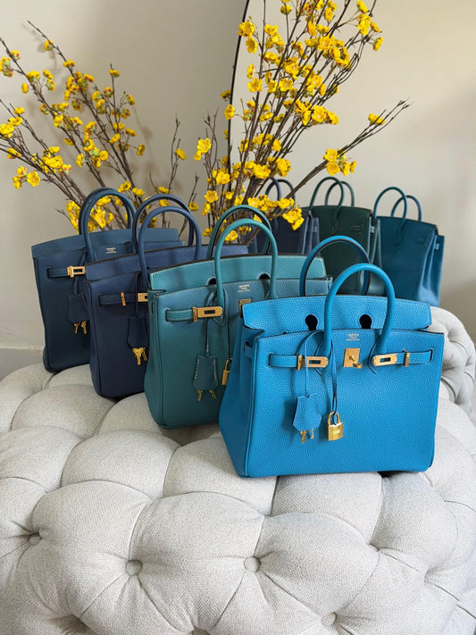 Hermes Handbag (Vip)
