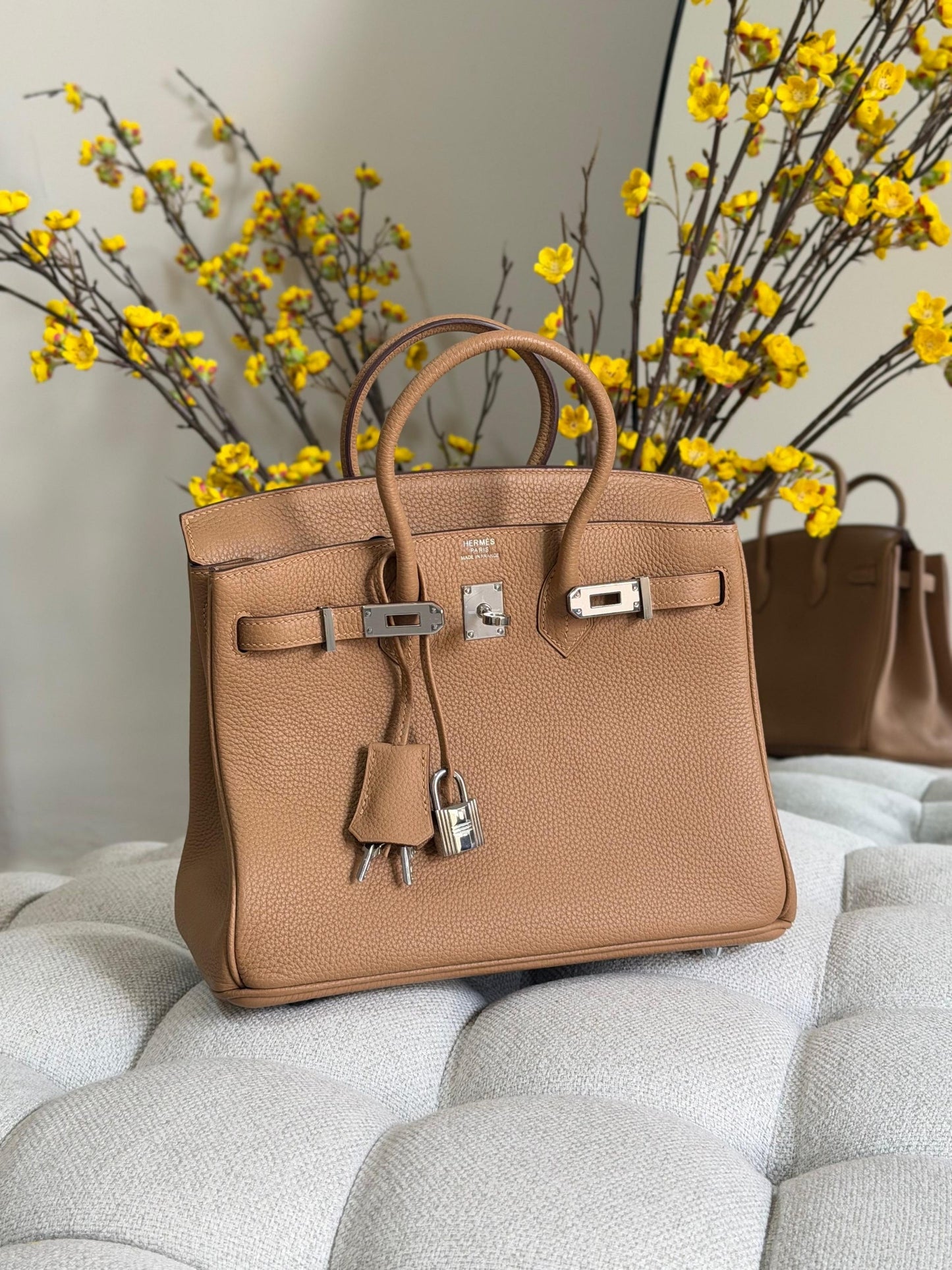 Hermes Handbag (Vip)