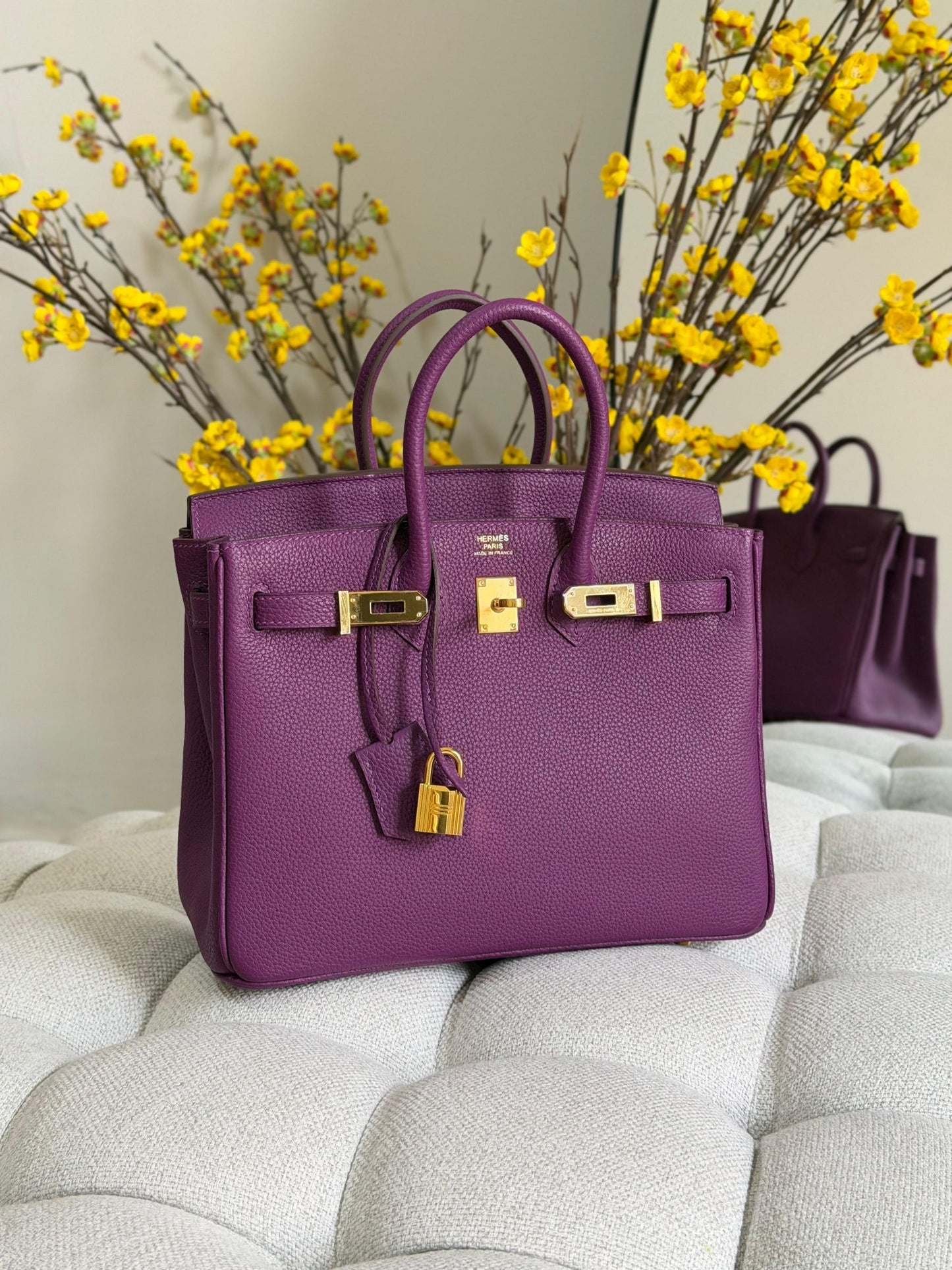 Hermes Handbag (Vip)