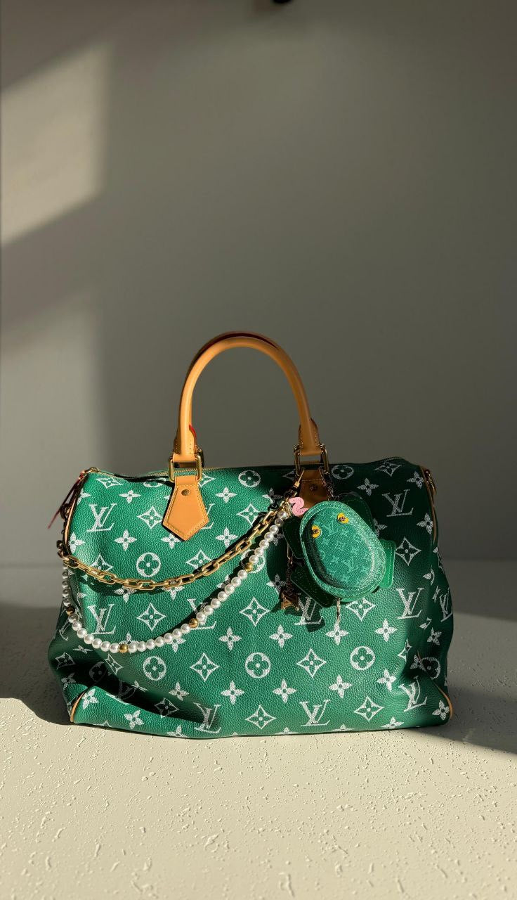 Louis Vuitton Handbag