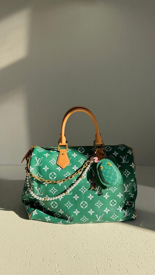 Louis Vuitton Handbag