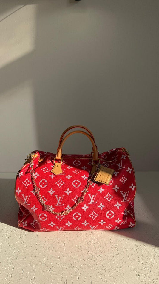 Louis Vuitton Handbag