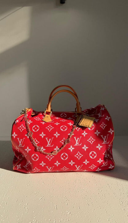 Louis Vuitton Handbag