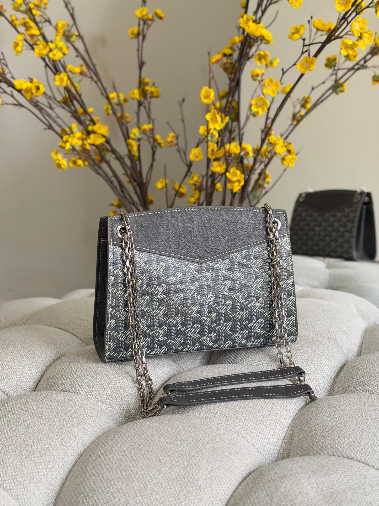 Goyard Shoulder Bag (Vip)