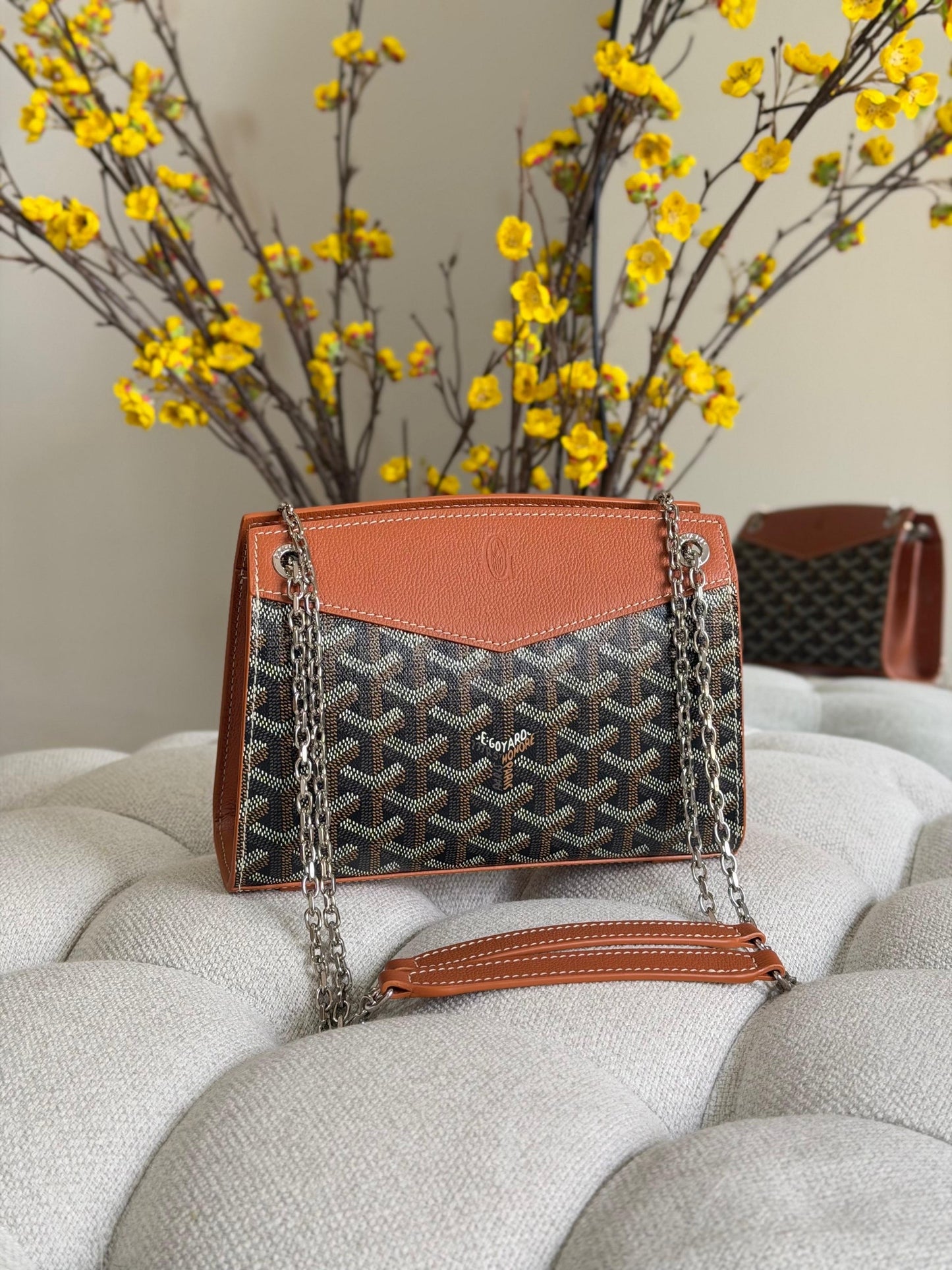Goyard Shoulder Bag (Vip)