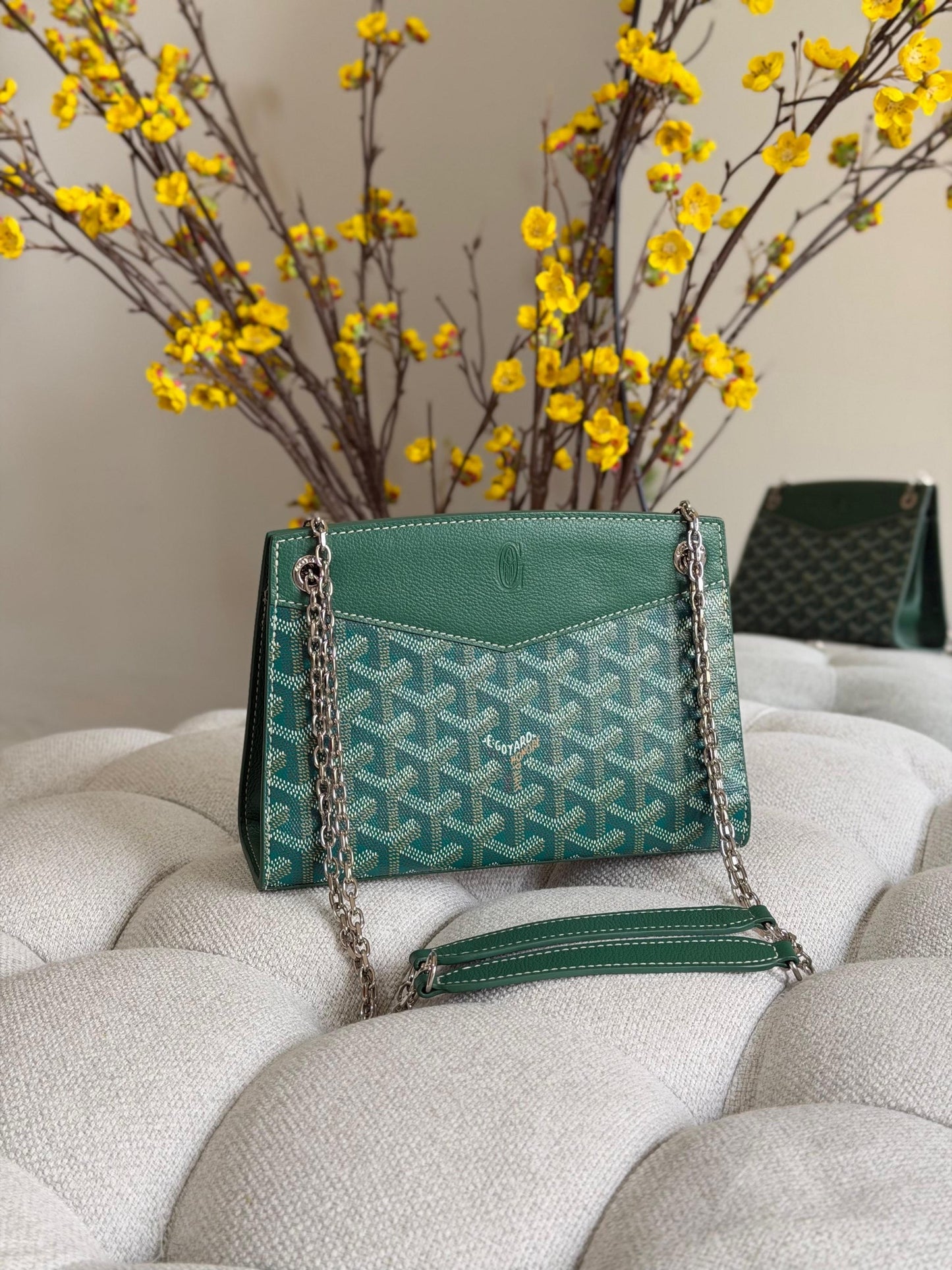 Goyard Shoulder Bag (Vip)