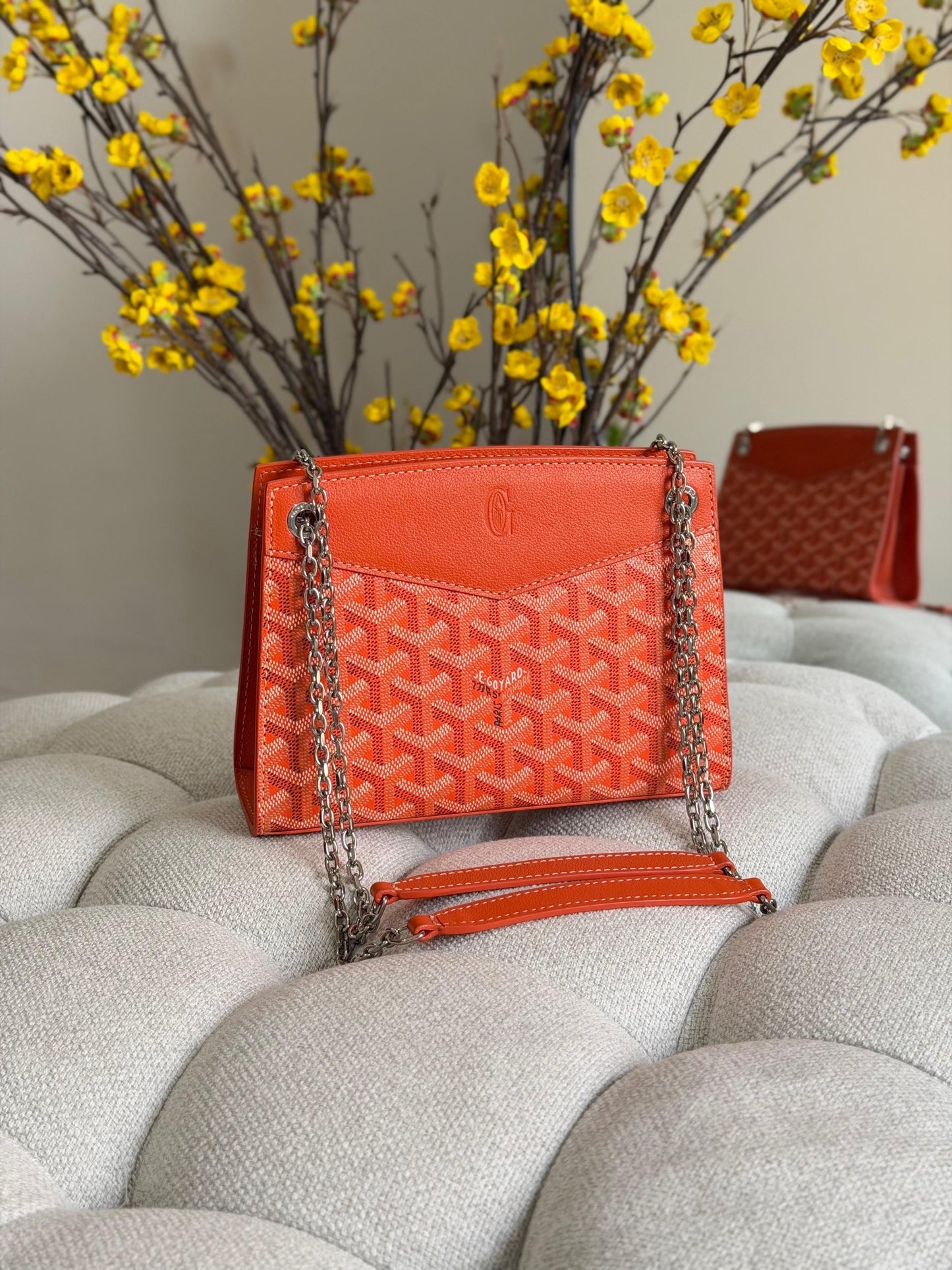 Goyard Shoulder Bag (Vip)