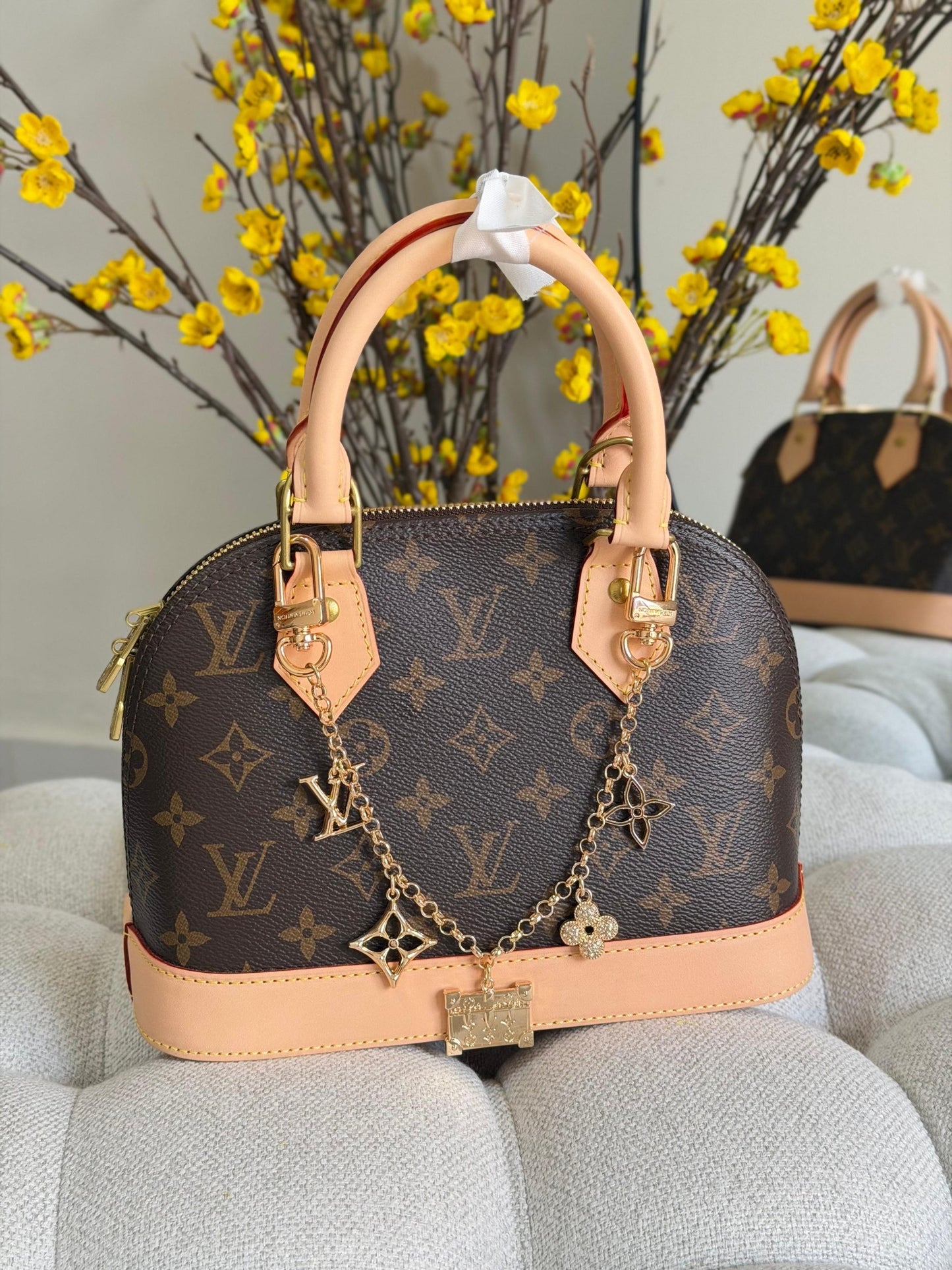 Louis Vuitton Hand Bag (Vip)