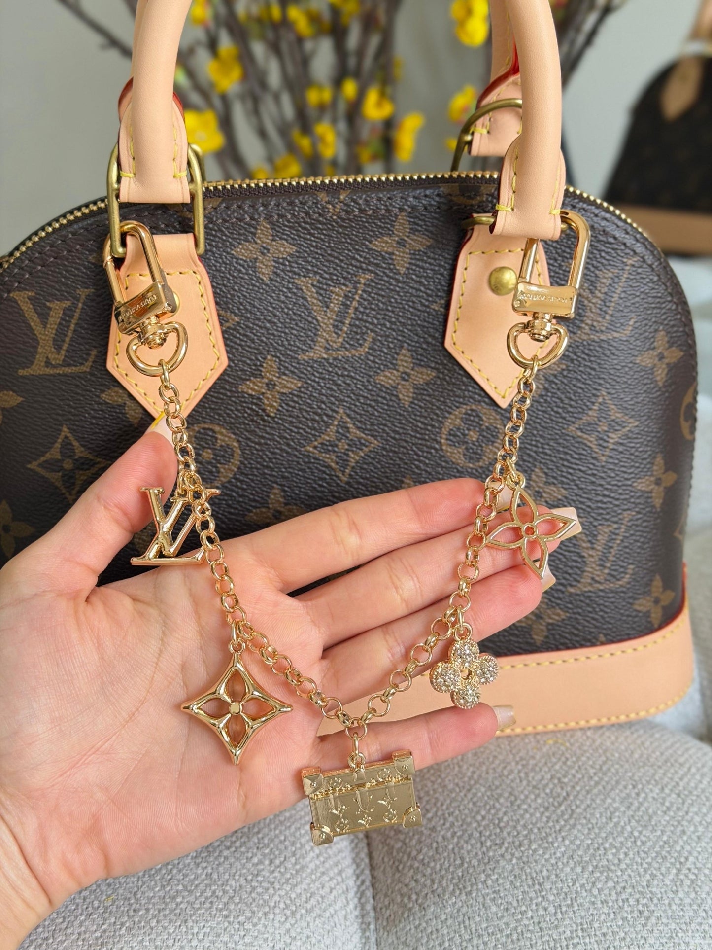 Louis Vuitton Hand Bag (Vip)