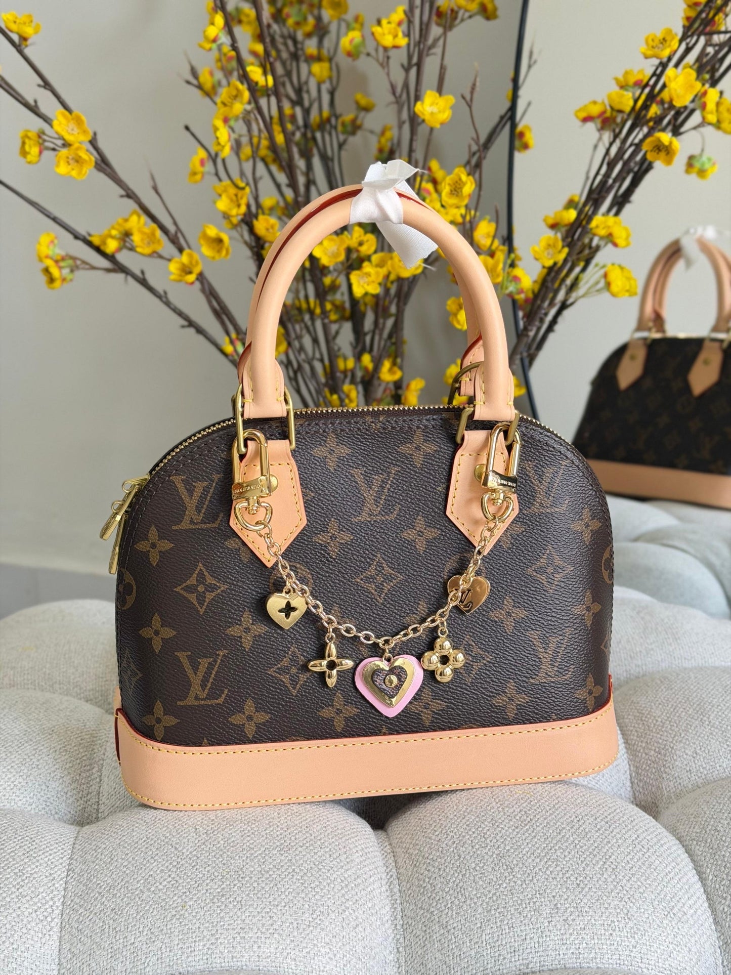Louis Vuitton Hand Bag (Vip)