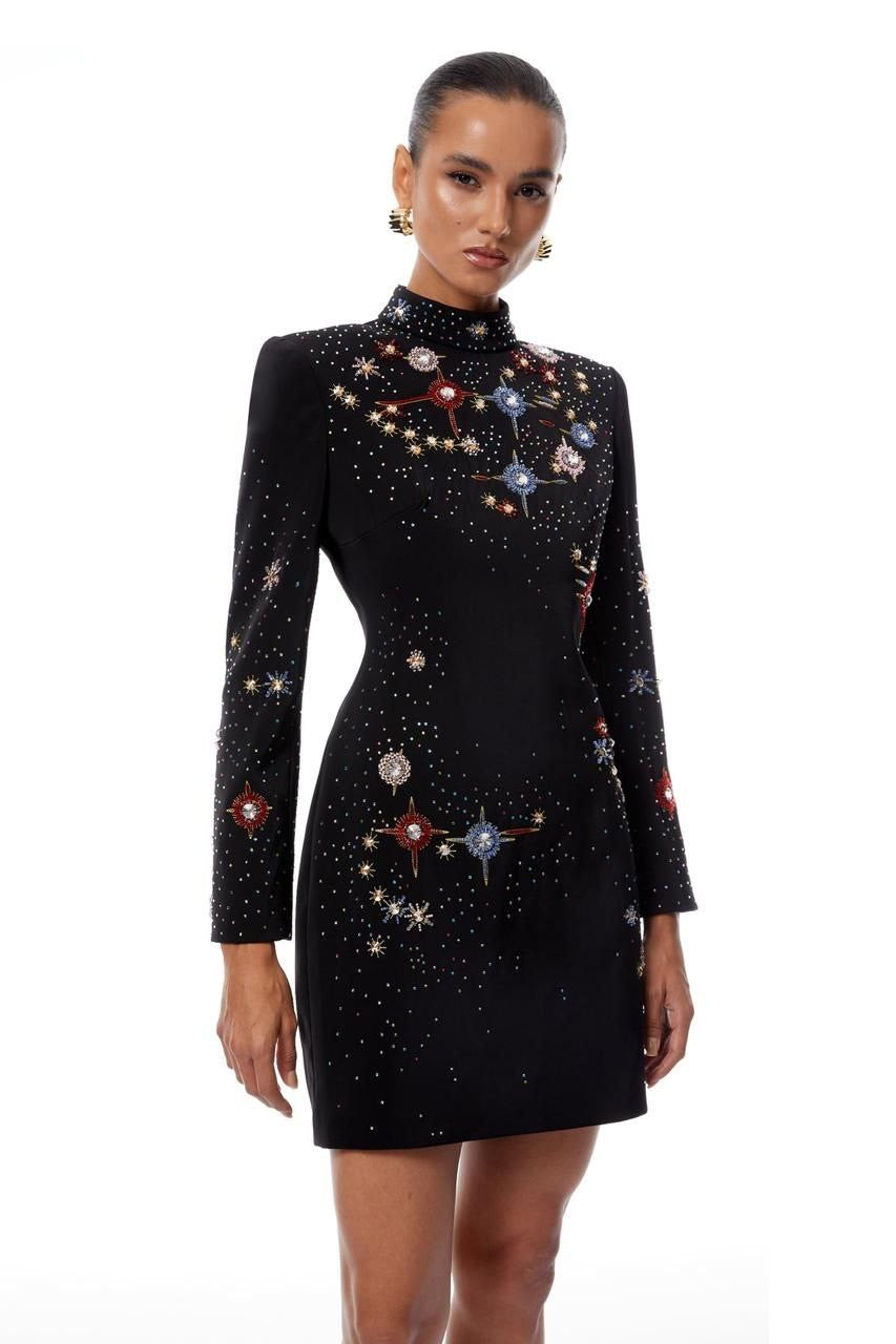 Herve Leger Dress