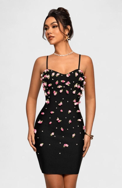 Herve Leger Dress
