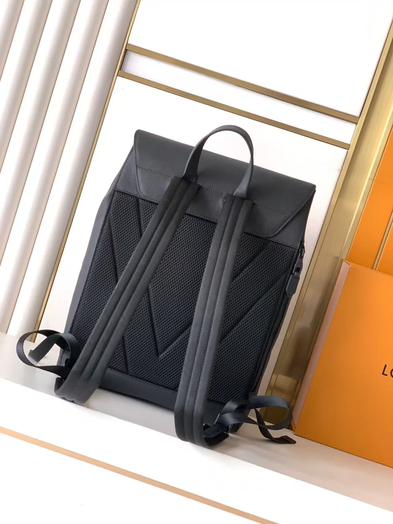 Louis Vuitton Backpack (VIP Quality)