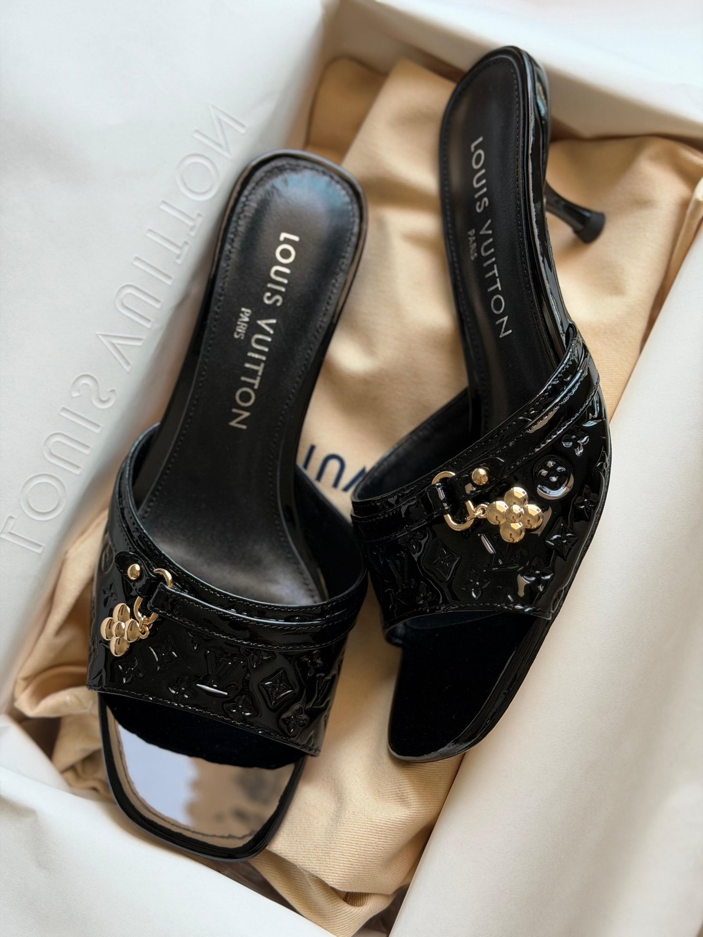 Louis Vuitton Heels