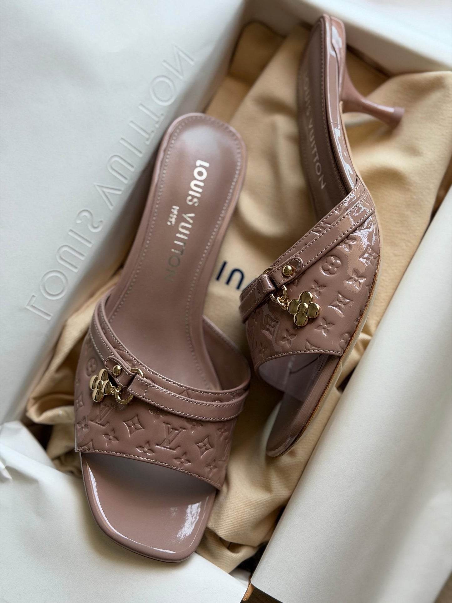 Louis Vuitton Heels