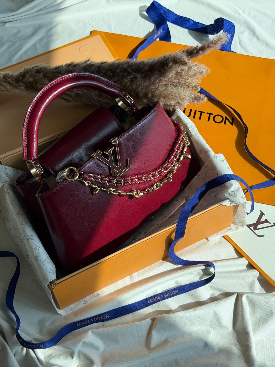 Louis Vuitton Sling Bag (Vip)