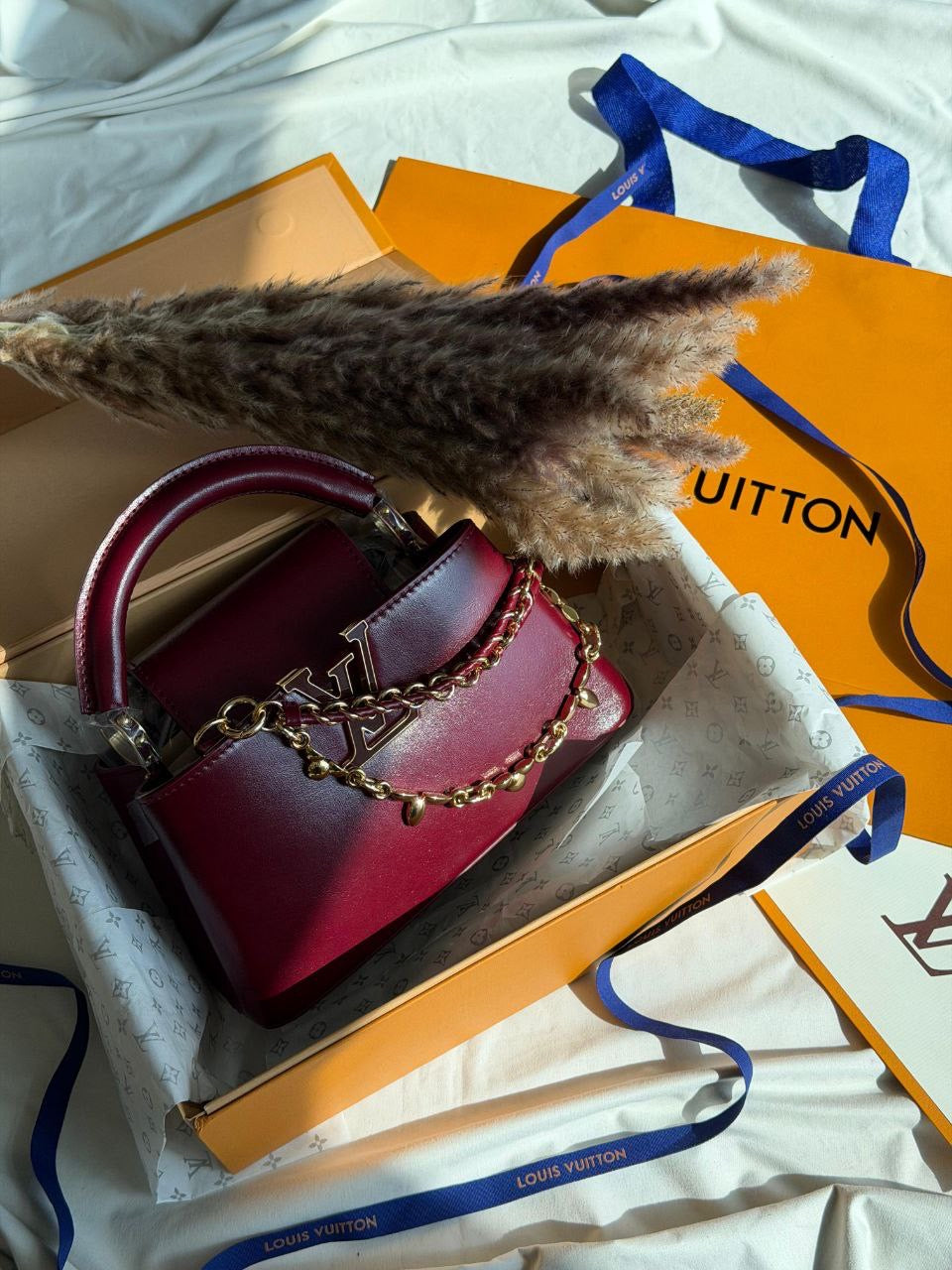 Louis Vuitton Sling Bag (Vip)