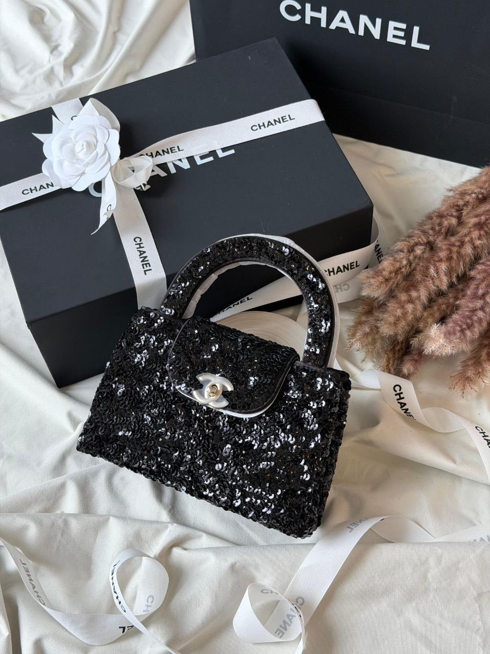 Chanel HandBag (VIP Quality)