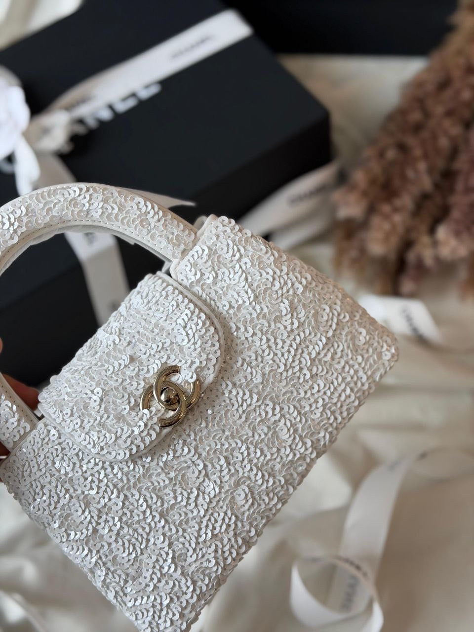 Chanel HandBag (VIP Quality)