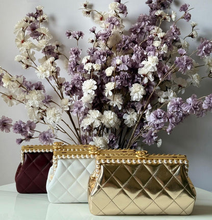 Chanel Clutch Bag (Vip)