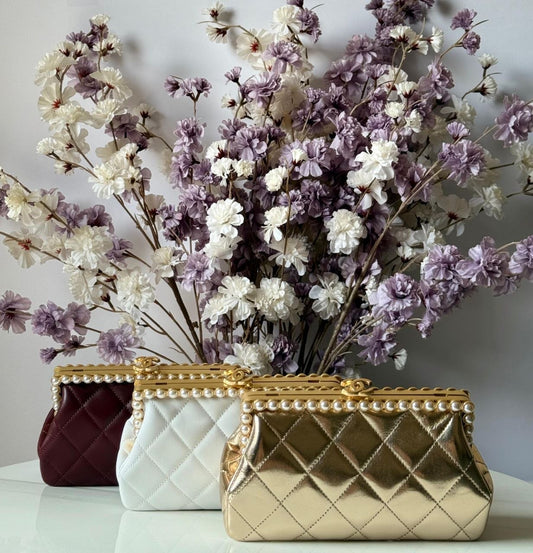 Chanel Clutch Bag (Vip)