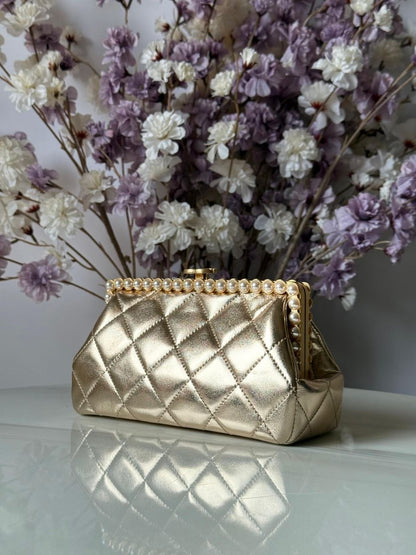 Chanel Clutch Bag (Vip)