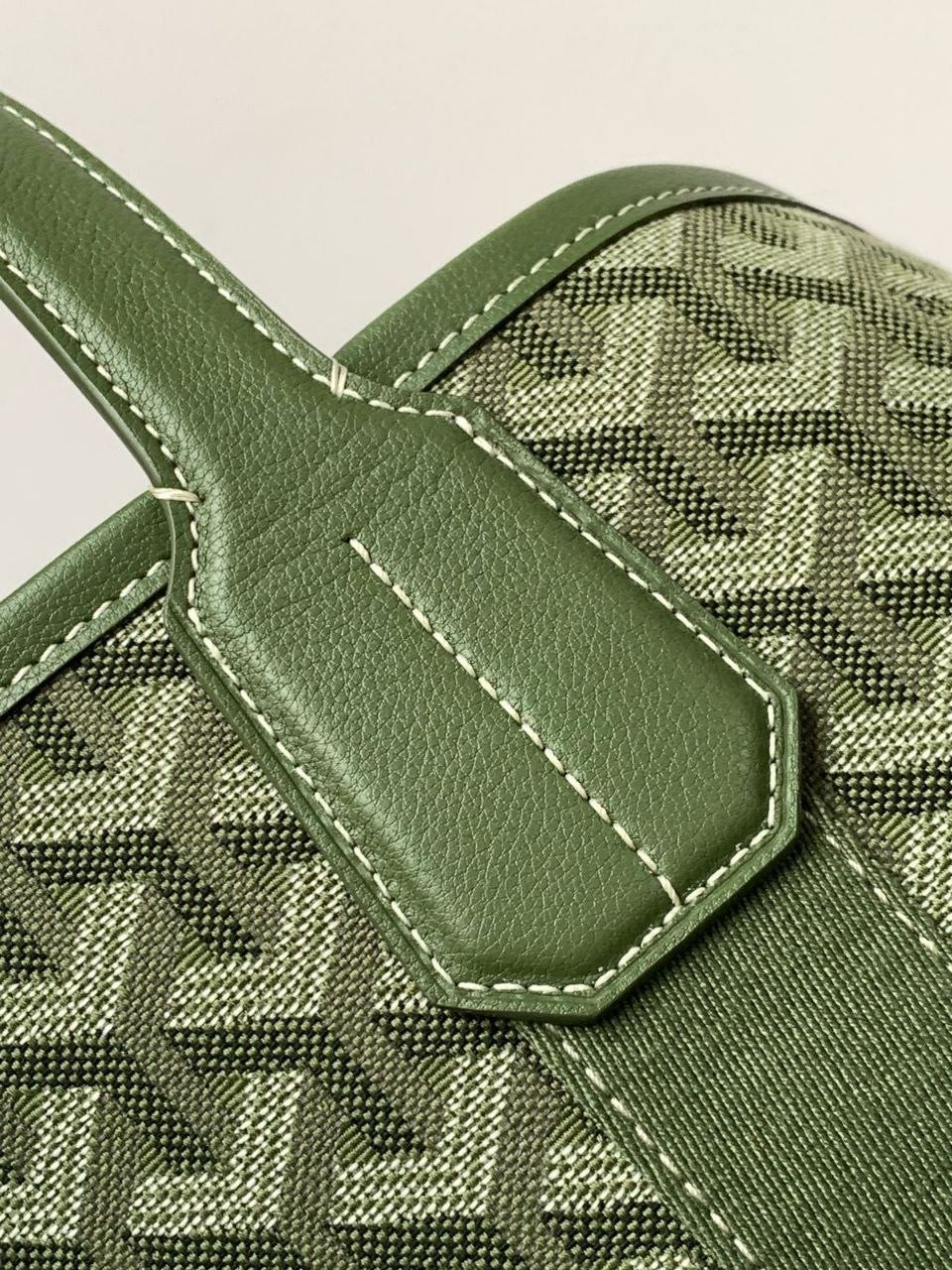 Goyard Handbag (Vip)