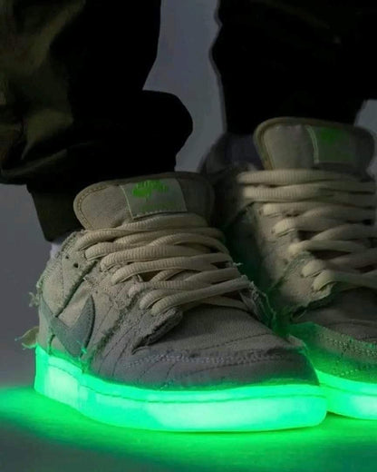 SB DUNK Mummy dunks